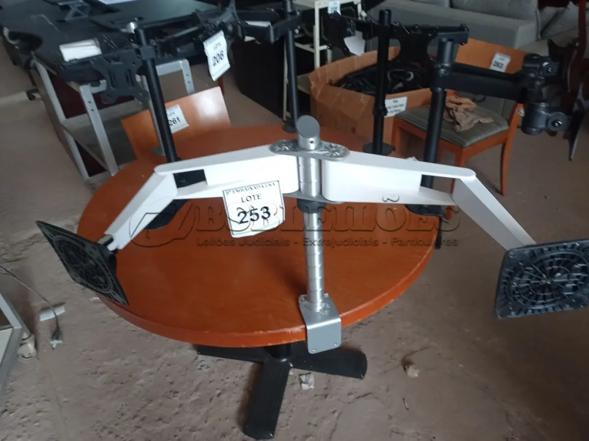 LOTE 253