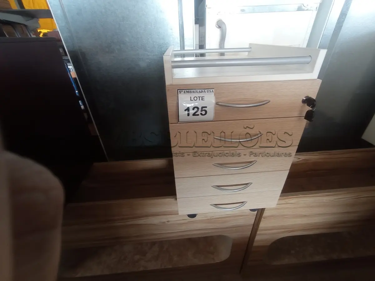 LOTE 125 - 01 GAVETEIRO (DRAWER). (NO ESTADO EM QUE SE ENCONTRA. SUJEITO A AVARIAS OCULTAS/VISÍVEIS.)