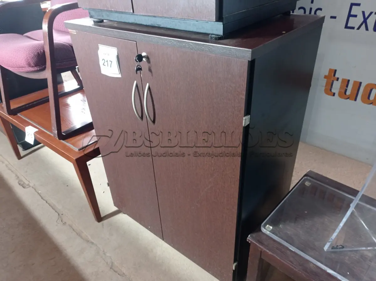 LOTE 217 - 01 ARMÁRIO MÉDIO EM MADEIRA C/ 02 PORTAS (MEDIUM WOODEN CABINET). (NO ESTADO EM QUE SE ENCONTRA. SUJEITO A AVARIAS OCULTAS/VISÍVEIS.)