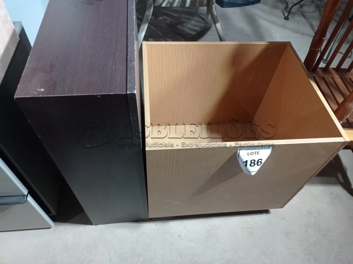 LOTE 186 - 02 CAIXAS EM MADEIRA (WOODEN BOXES). (NO ESTADO EM QUE SE ENCONTRA. SUJEITO A AVARIAS OCULTAS/VISÍVEIS.)