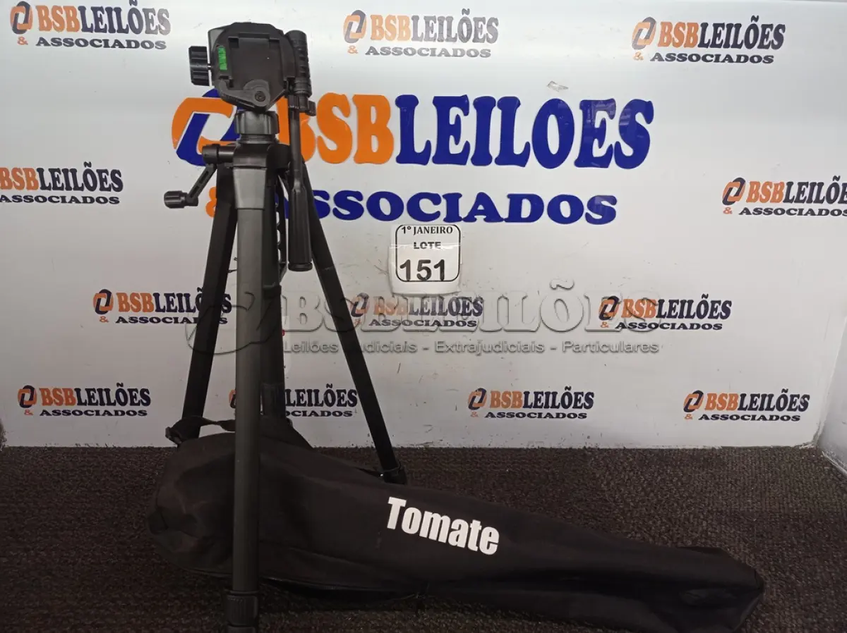 LOTE 151