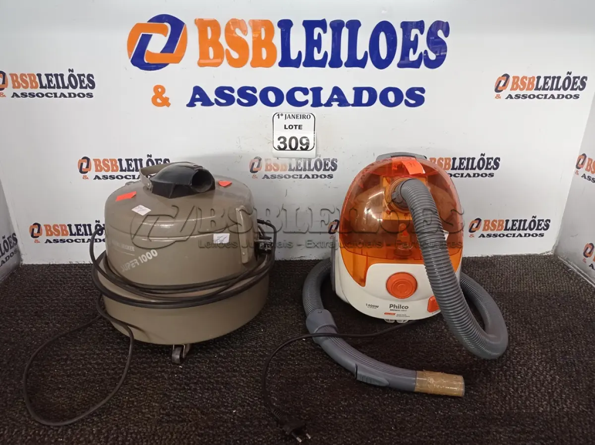 LOTE 309
