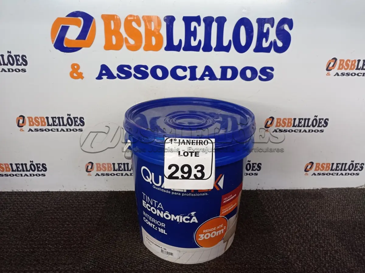 LOTE 293