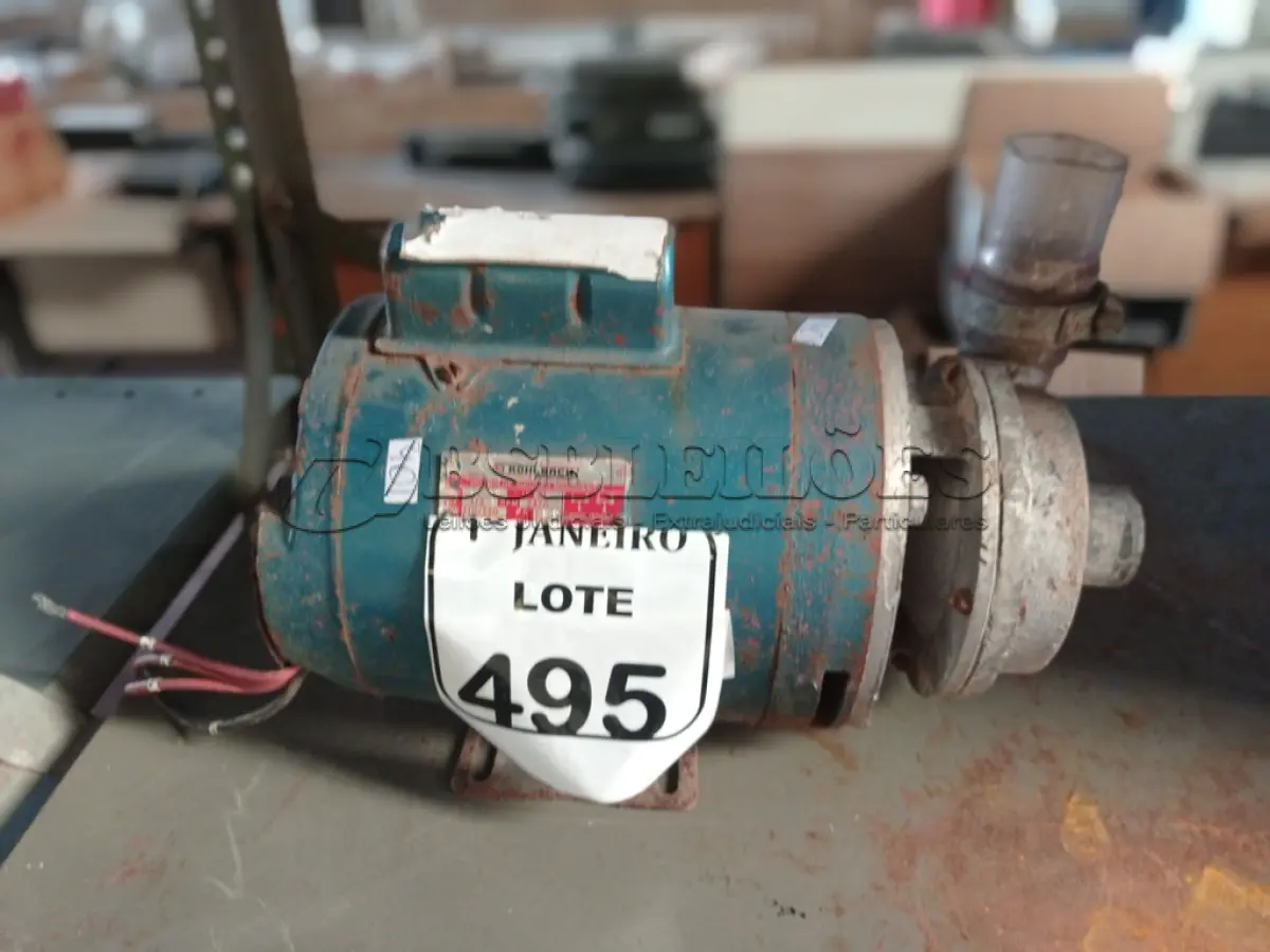 LOTE 495