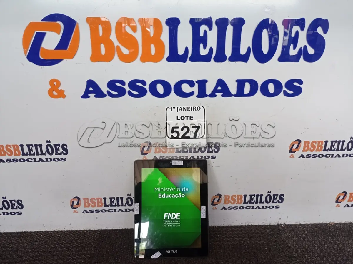 LOTE 527
