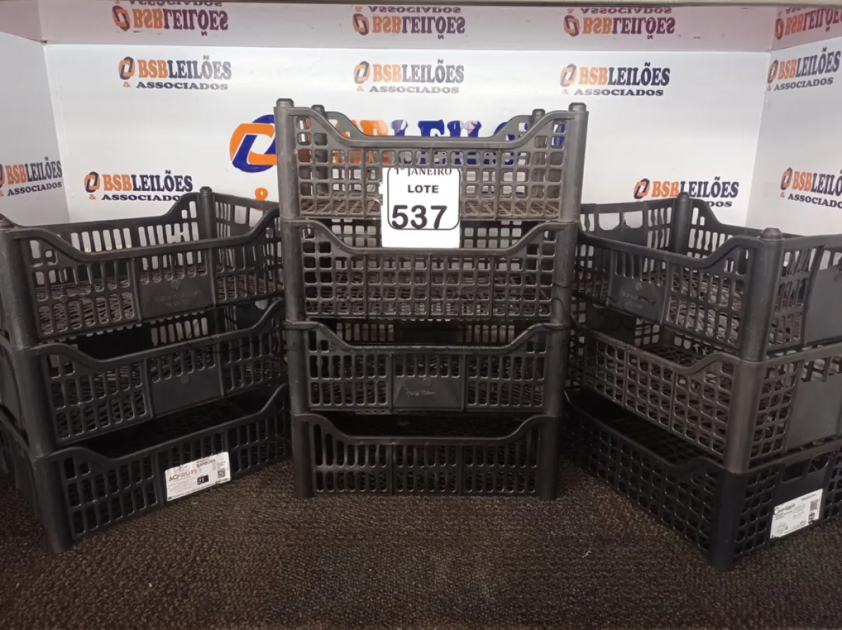 LOTE 537