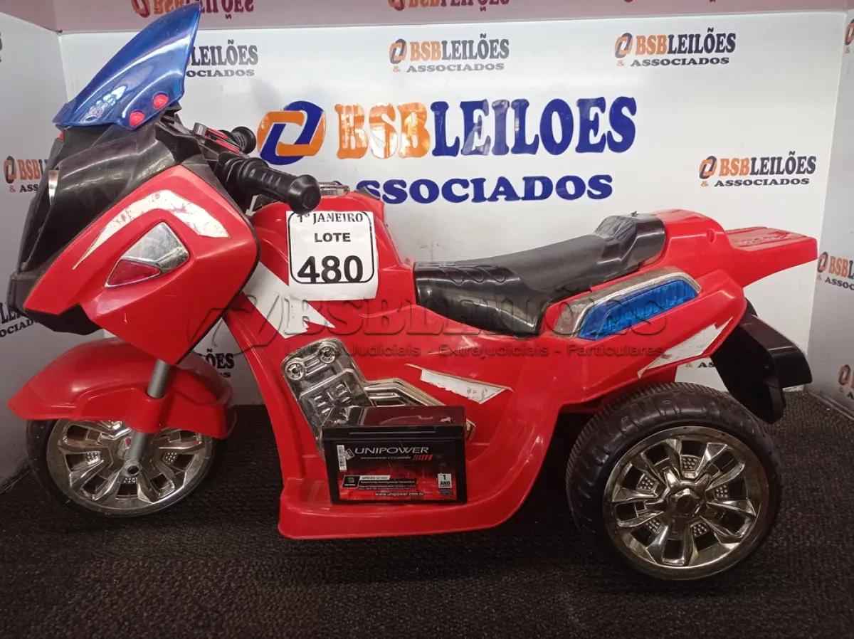 LOTE 480