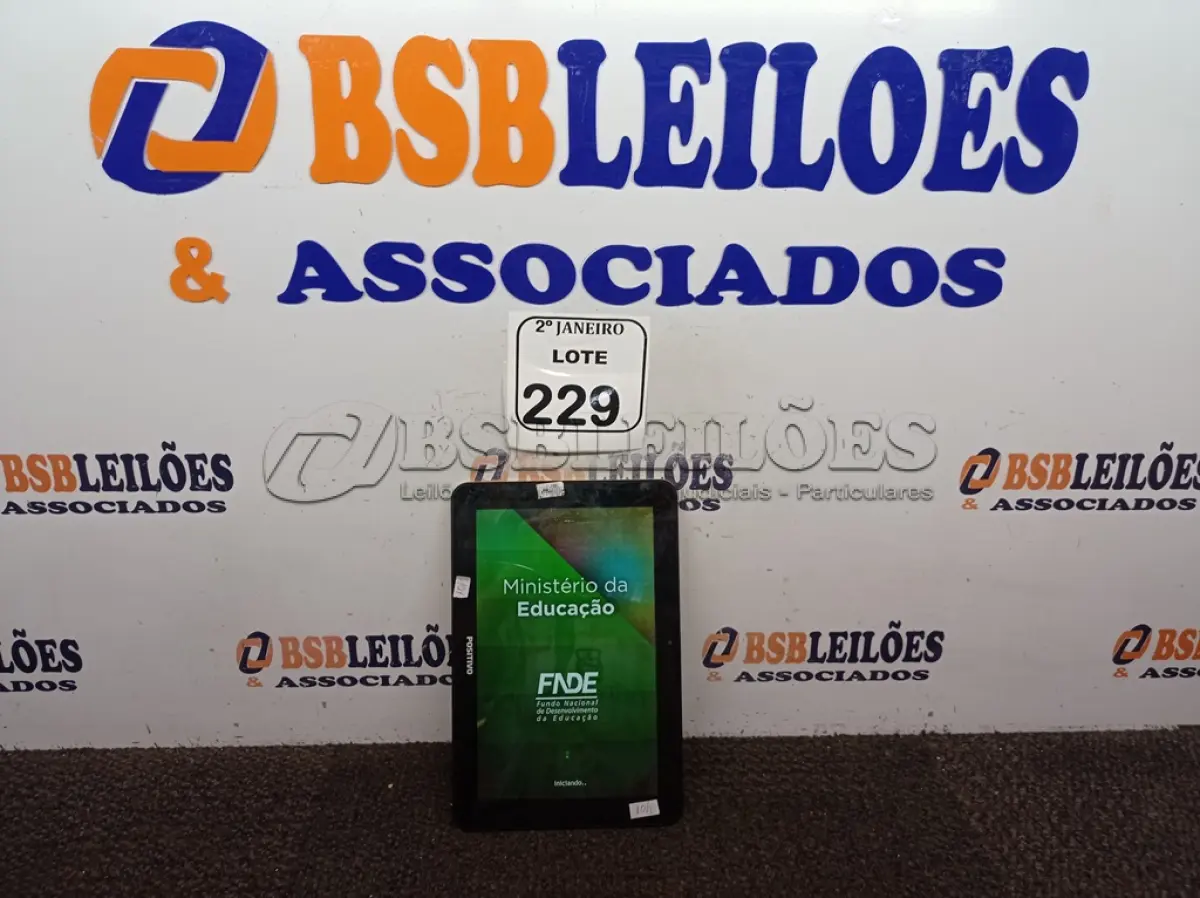 LOTE 229