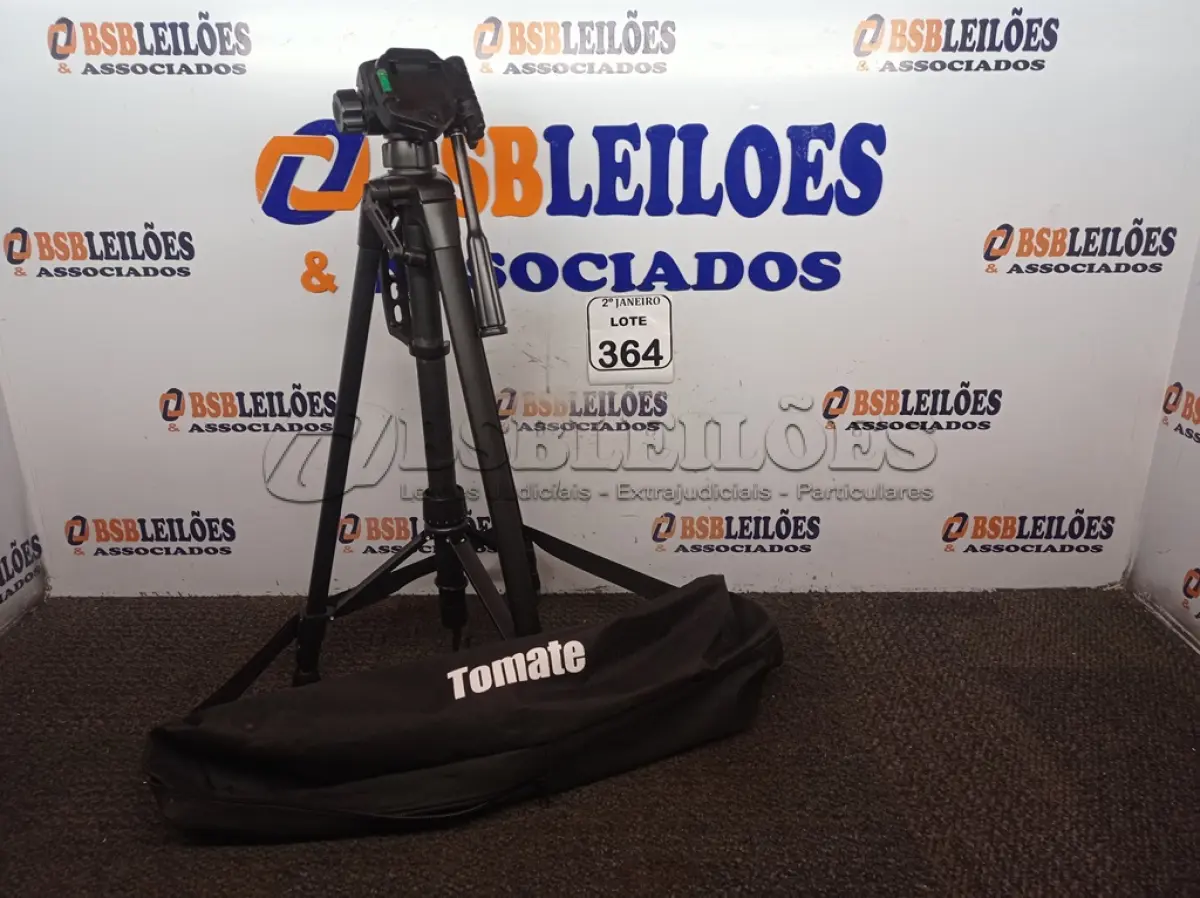 LOTE 364