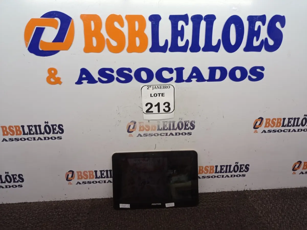 LOTE 213