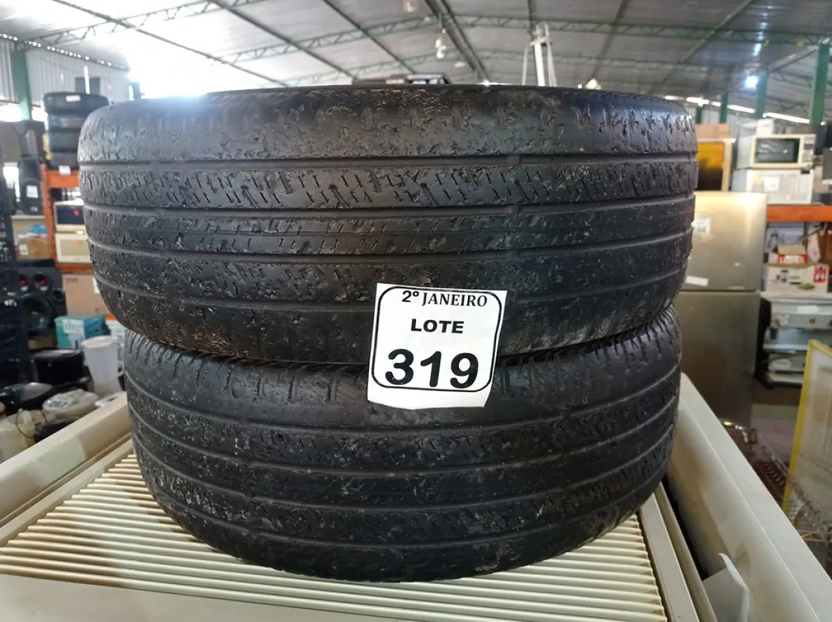 LOTE 319