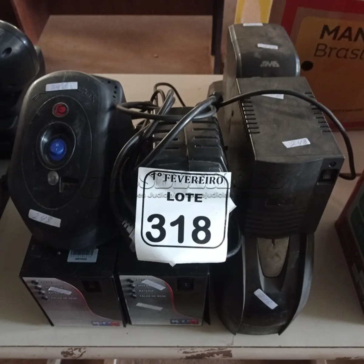 LOTE 318