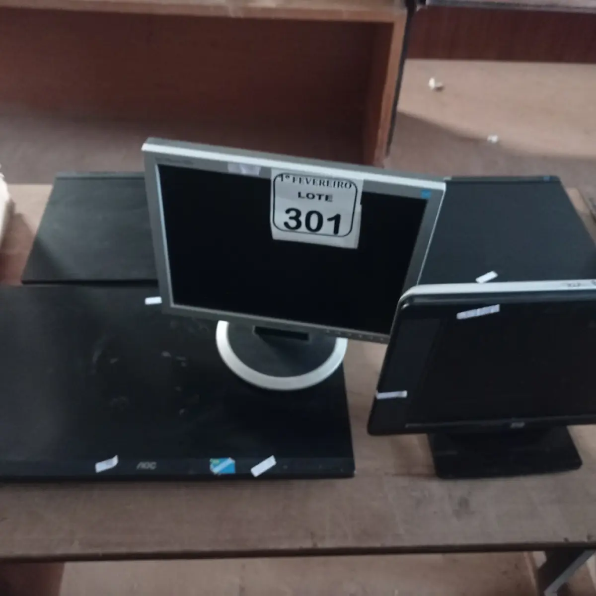 LOTE 301