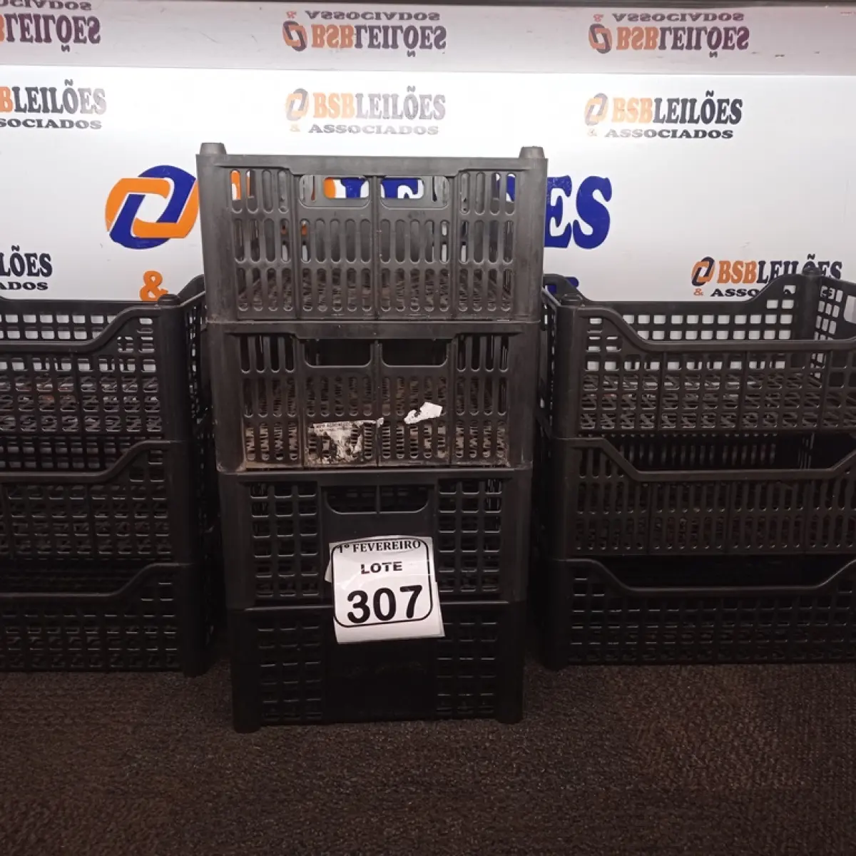 LOTE 307