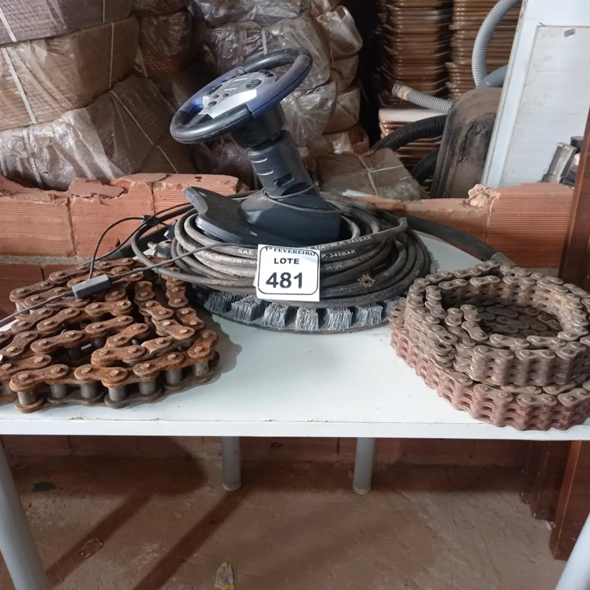 LOTE 481