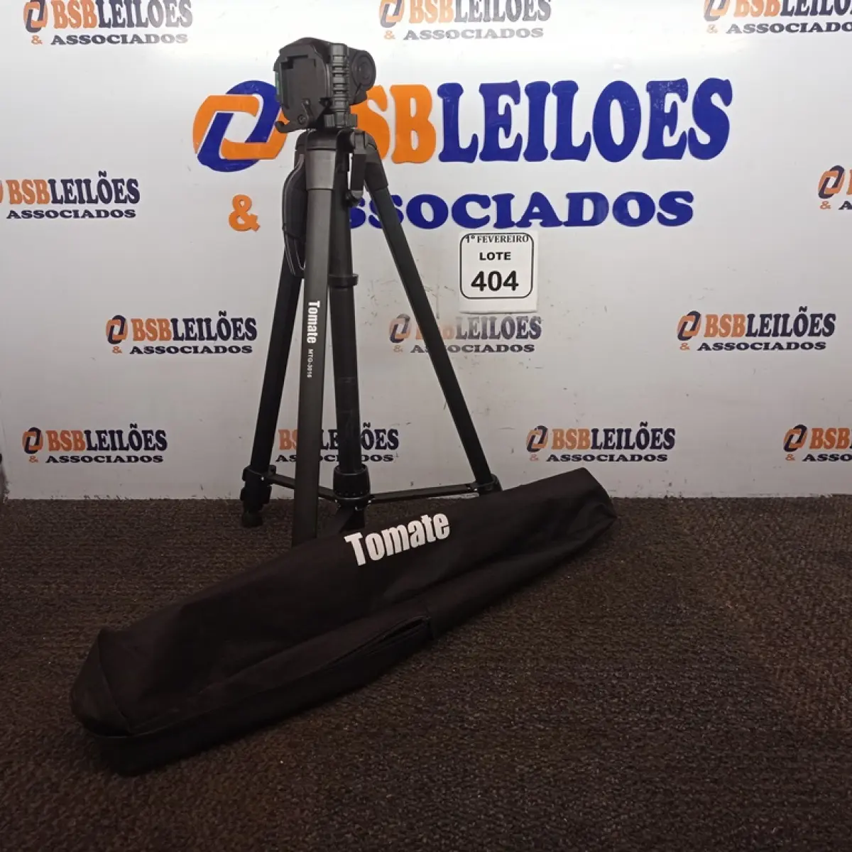 LOTE 404