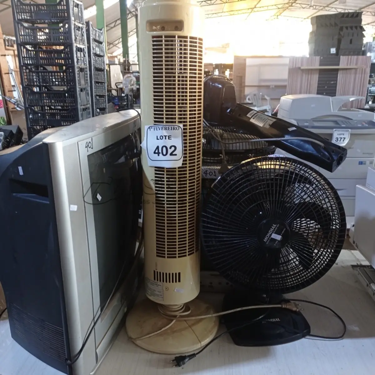 LOTE 402 - 02 TV’S ANTIGA E 03 VENTILADORES.  (NO ESTADO) ATENÇÃO! FAZER A VISITAÇÃO ANTES DE ARREMATAR, NÃO SABEMOS SE FUNCIONA. LEILÃO NÃO TEM GARANTIA E NEM DEVOLUÇÃO, SUJEITO A POSSÍVEIS AVARIAS VISÍVEIS/OCULTAS E/OU AUSÊNCIA DE COMPONENTES.