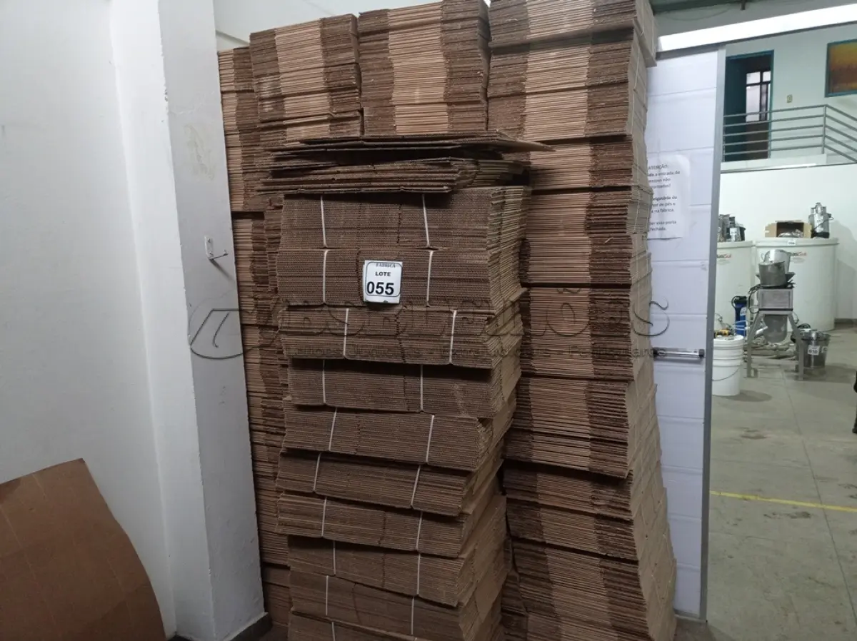 LOTE 055 - 01 LOTE COM VÁRIAS CAIXAS EM PAPELÃO MEDINDO 27X29X9 (NO ESTADO) ATENÇÃO! FAZER A VISITAÇÃO ANTES DE ARREMATAR, NÃO SABEMOS SE FUNCIONA. LEILÃO NÃO TEM GARANTIA E NEM DEVOLUÇÃO, SUJEITO A POSSÍVEIS AVARIAS VISÍVEIS/OCULTAS E/OU AUSÊNCIA DE COMPONENTES.