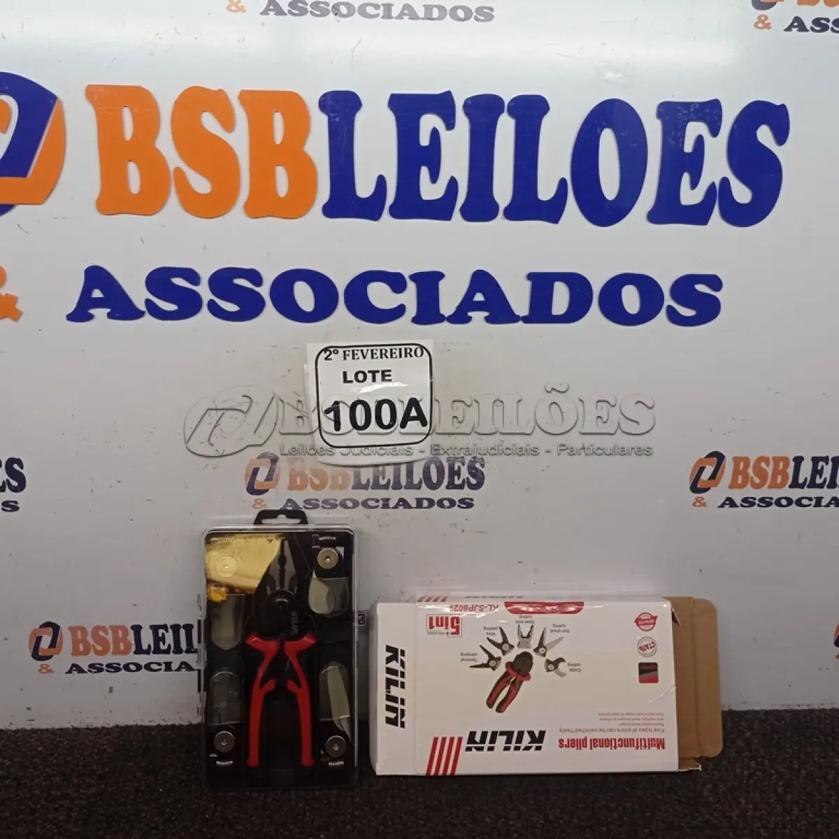 LOTE 100