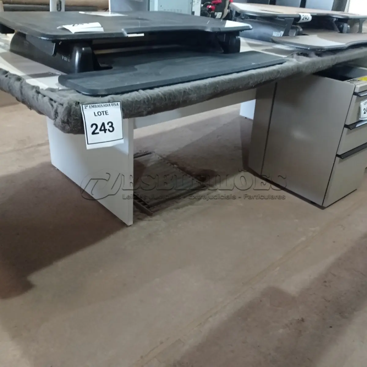 LOTE 243