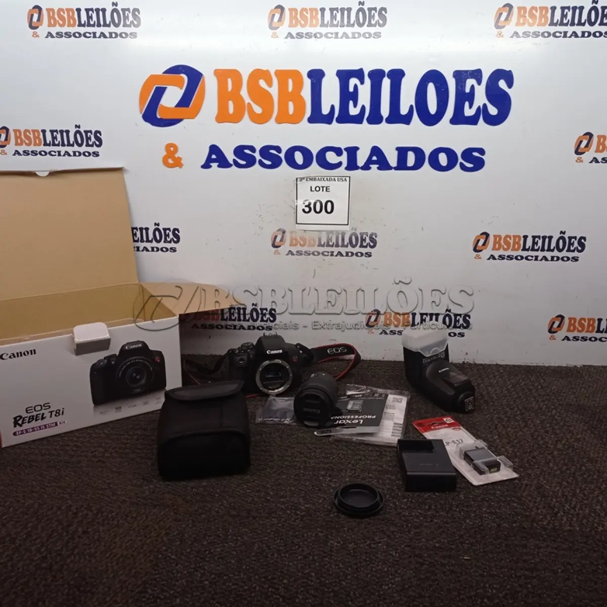 LOTE 300