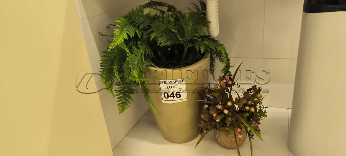 LOTE 046 -  02 PLANTAS DECORATIVAS. (NO ESTADO) ATENÇÃO! FAZER A VISITAÇÃO ANTES DE ARREMATAR, NÃO SABEMOS SE FUNCIONA. LEILÃO NÃO TEM GARANTIA E NEM DEVOLUÇÃO, SUJEITO A POSSÍVEIS AVARIAS VISÍVEIS/OCULTAS E/OU AUSÊNCIA DE COMPONENTES.