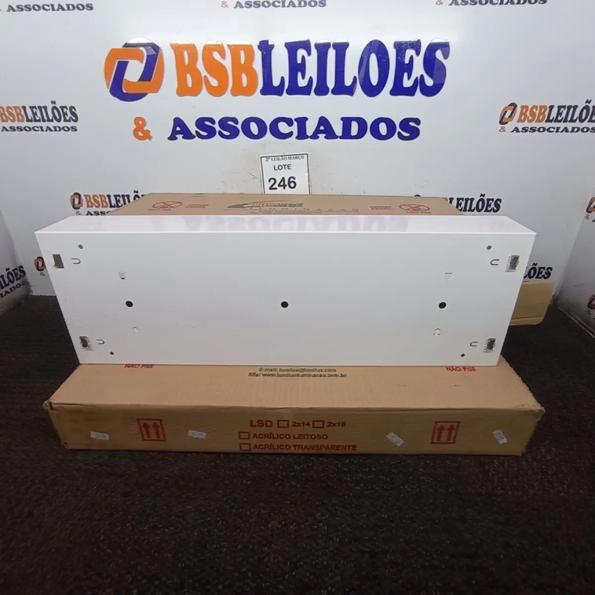 LOTE 246