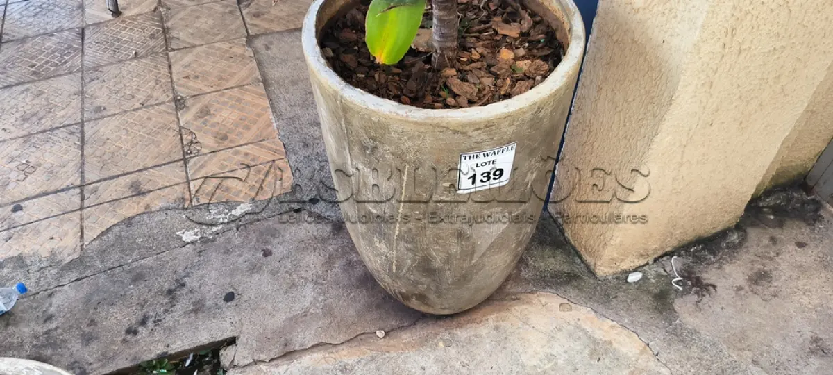 LOTE 139 - 01 JARRO COM PLANTAS VIVAS DECORATIVAS (NO ESTADO) ATENÇÃO! FAZER A VISITAÇÃO ANTES DE ARREMATAR, NÃO SABEMOS SE FUNCIONA. LEILÃO NÃO TEM GARANTIA E NEM DEVOLUÇÃO, SUJEITO A POSSÍVEIS AVARIAS VISÍVEIS/OCULTAS E/OU AUSÊNCIA DE COMPONENTES.