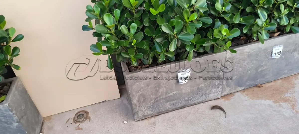 LOTE 136 - 01 JARRO COM PLANTAS VIVAS DECORATIVAS (NO ESTADO) ATENÇÃO! FAZER A VISITAÇÃO ANTES DE ARREMATAR, NÃO SABEMOS SE FUNCIONA. LEILÃO NÃO TEM GARANTIA E NEM DEVOLUÇÃO, SUJEITO A POSSÍVEIS AVARIAS VISÍVEIS/OCULTAS E/OU AUSÊNCIA DE COMPONENTES.