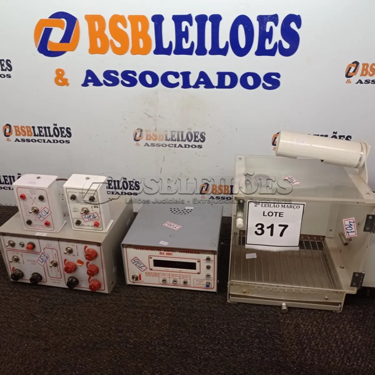 LOTE 317
