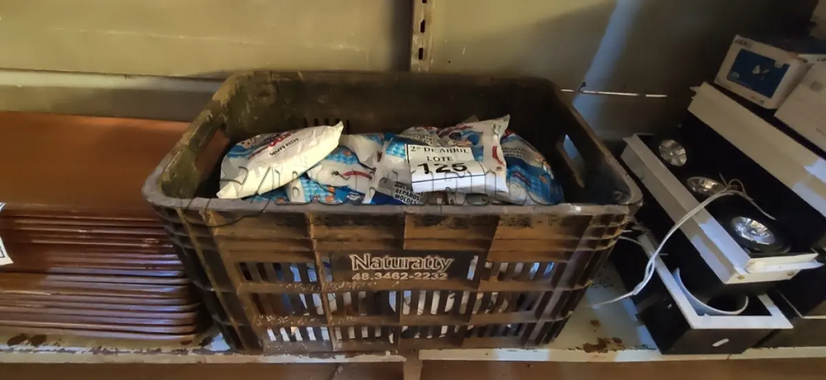 LOTE 125 - 10 PACOTES DE GESSO RÁPIDO PARA MOLDURAS, REPAROS E MOLDES DE 1KG CADA MARCA REJUMASSA. (NOVO) (NO ESTADO) ATENÇÃO! FAZER A VISITAÇÃO ANTES DE ARREMATAR, NÃO SABEMOS SE FUNCIONA. LEILÃO NÃO TEM GARANTIA E NEM DEVOLUÇÃO, SUJEITO A POSSÍVEIS AVARIAS VISÍVEIS/OCULTAS E/OU AUSÊNCIA DE COMPONENTES.