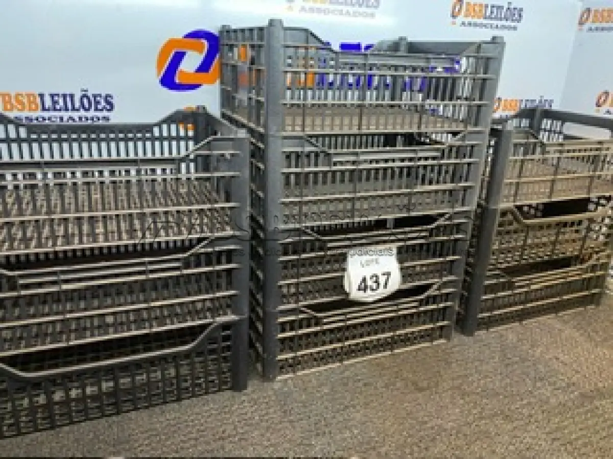 LOTE 437 - 10 CESTAS ORGANIZADORAS. (NO ESTADO) ATENÇÃO! FAZER A VISITAÇÃO ANTES DE ARREMATAR, NÃO SABEMOS SE FUNCIONA. LEILÃO NÃO TEM GARANTIA E NEM DEVOLUÇÃO, SUJEITO A POSSÍVEIS AVARIAS VISÍVEIS/OCULTAS E/OU AUSÊNCIA DE COMPONENTES.