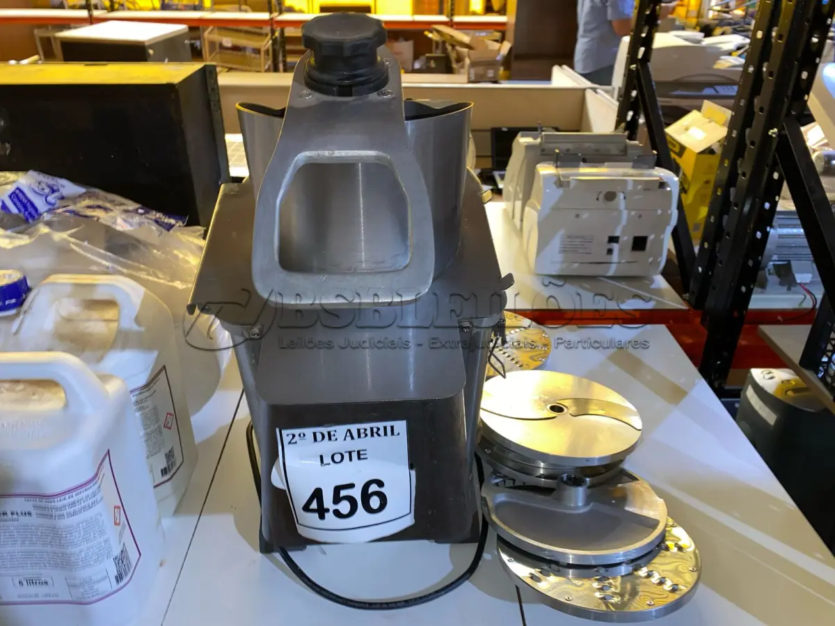 LOTE 456