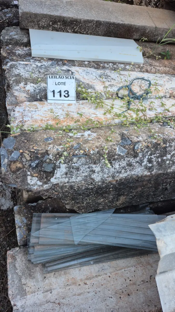 LOTE 113
