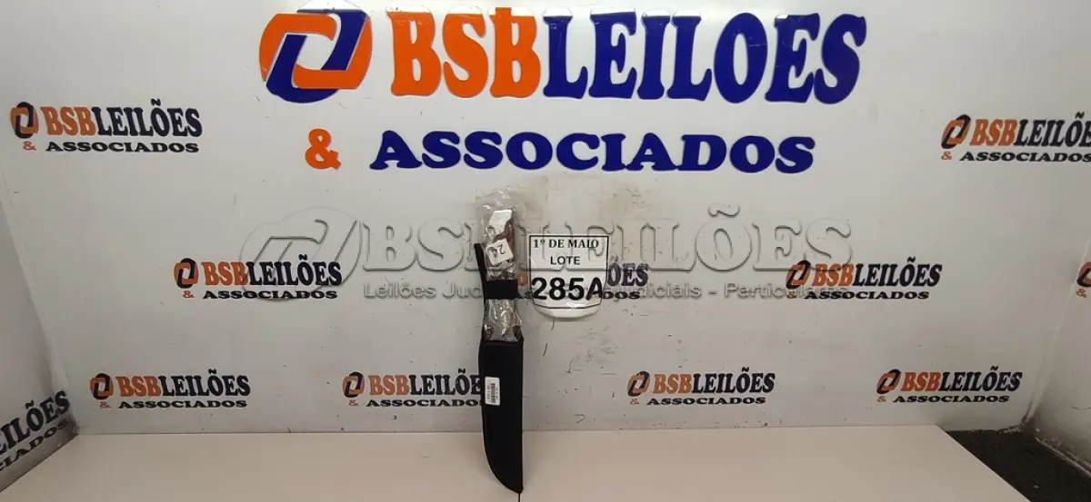 LOTE 285