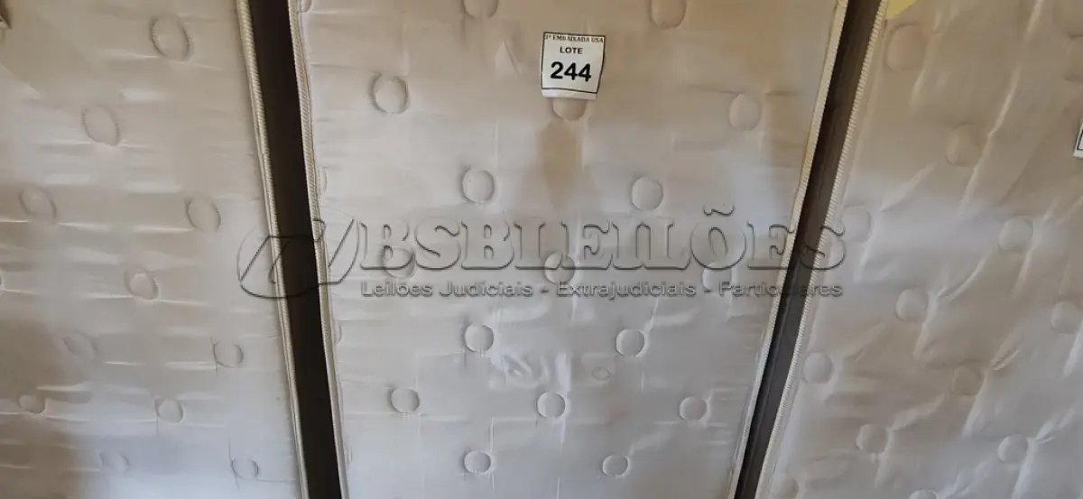 LOTE 244