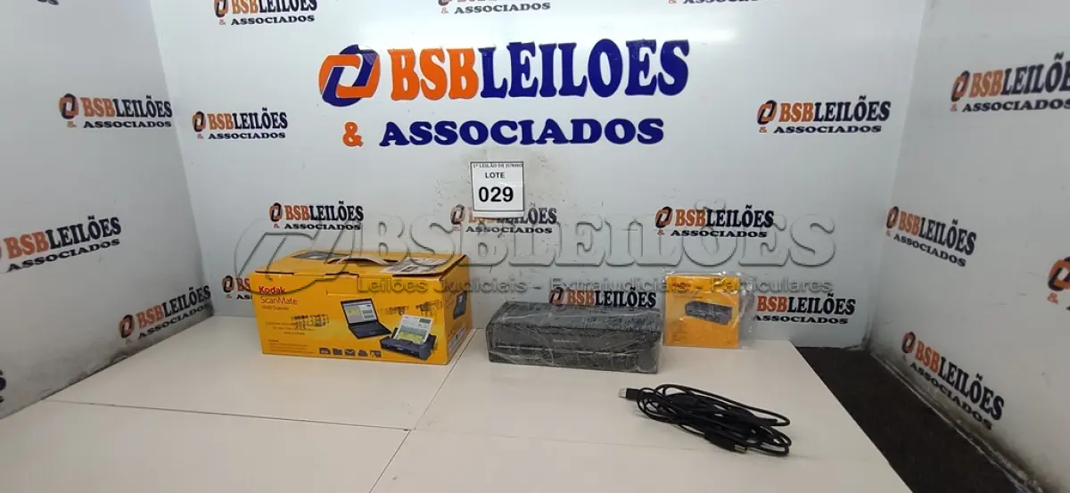 LOTE 029