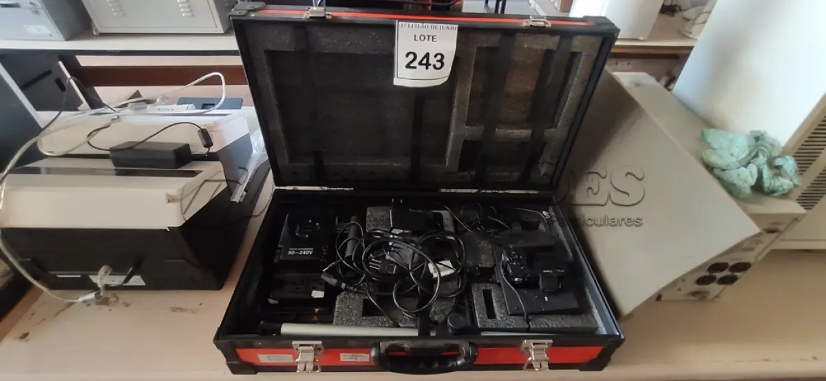 LOTE 243