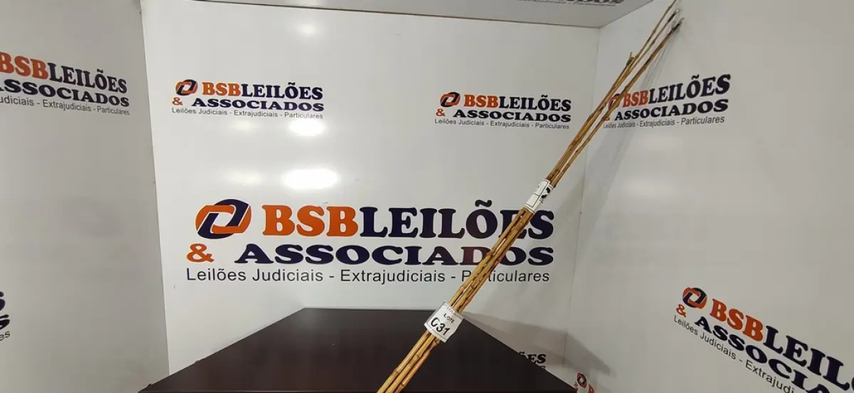 05 VARAS DE BAMBU. (NO ESTADO) ATENÇÃO! FAZER A VISITAÇÃO ANTES DE ARREMATAR, NÃO SABEMOS SE FUNCIONA, LEILÃO NÃO TEM GARANTIA E NEM DEVOLUÇÃO, SUJEITO A POSSÍVEIS AVARIAS VISÍVEIS/OCULTAS E/OU AUSÊNCIA DE COMPONENTES.
