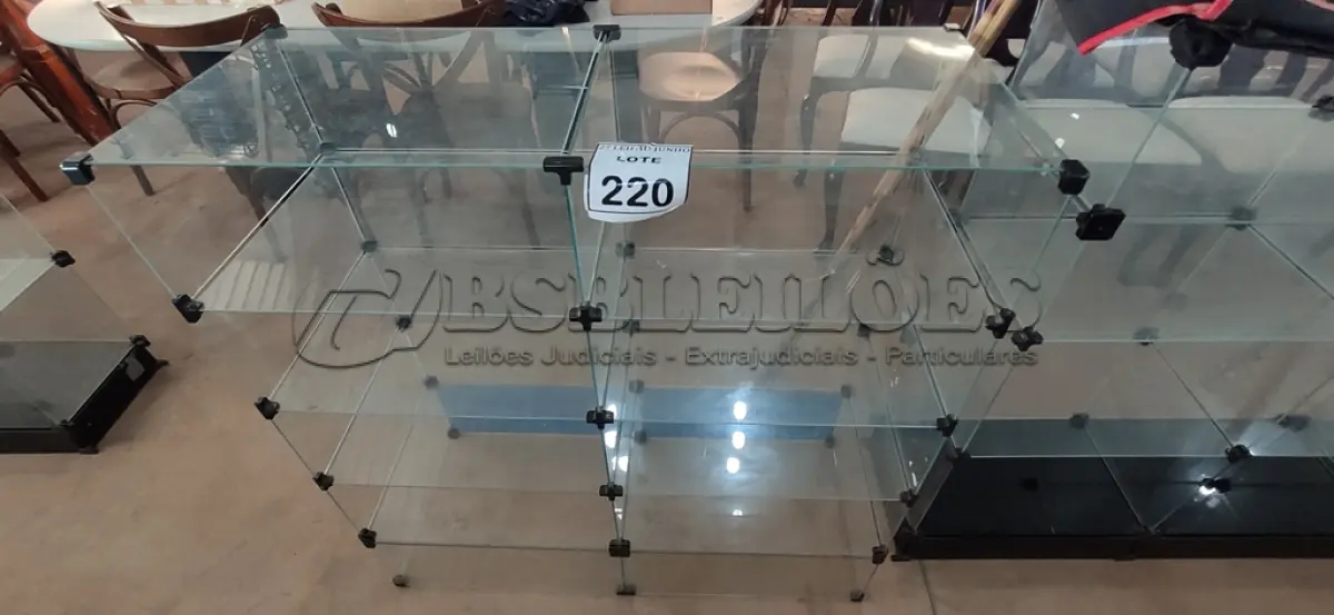 LOTE 220