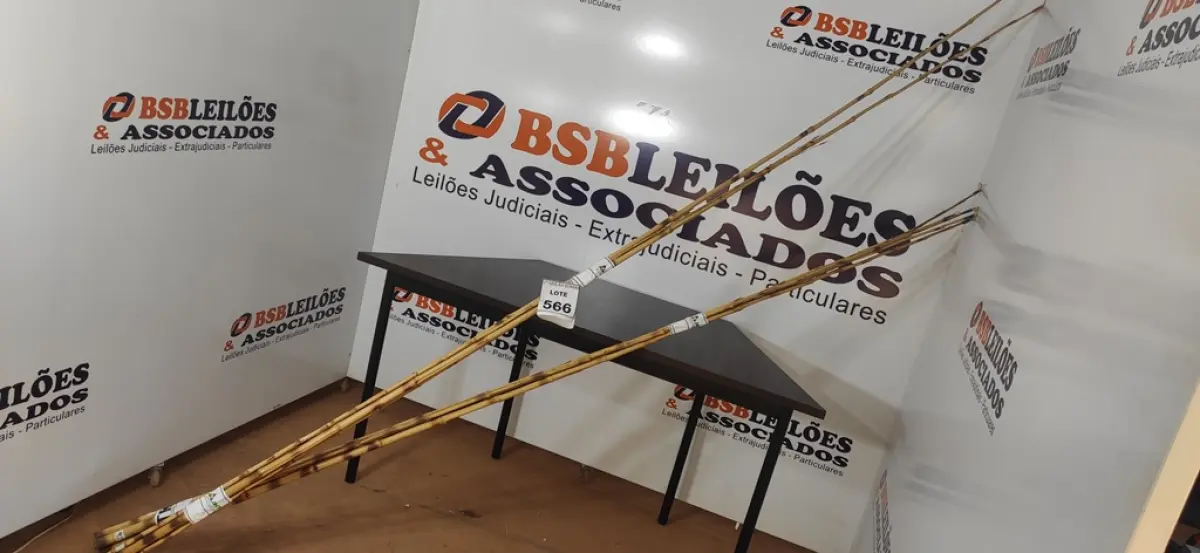 05 VARAS DE BAMBU. (NO ESTADO) ATENÇÃO! FAZER A VISITAÇÃO ANTES DE ARREMATAR, NÃO SABEMOS SE FUNCIONA, LEILÃO NÃO TEM GARANTIA E NEM DEVOLUÇÃO, SUJEITO A POSSÍVEIS AVARIAS VISÍVEIS/OCULTAS E/OU AUSÊNCIA DE COMPONENTES.