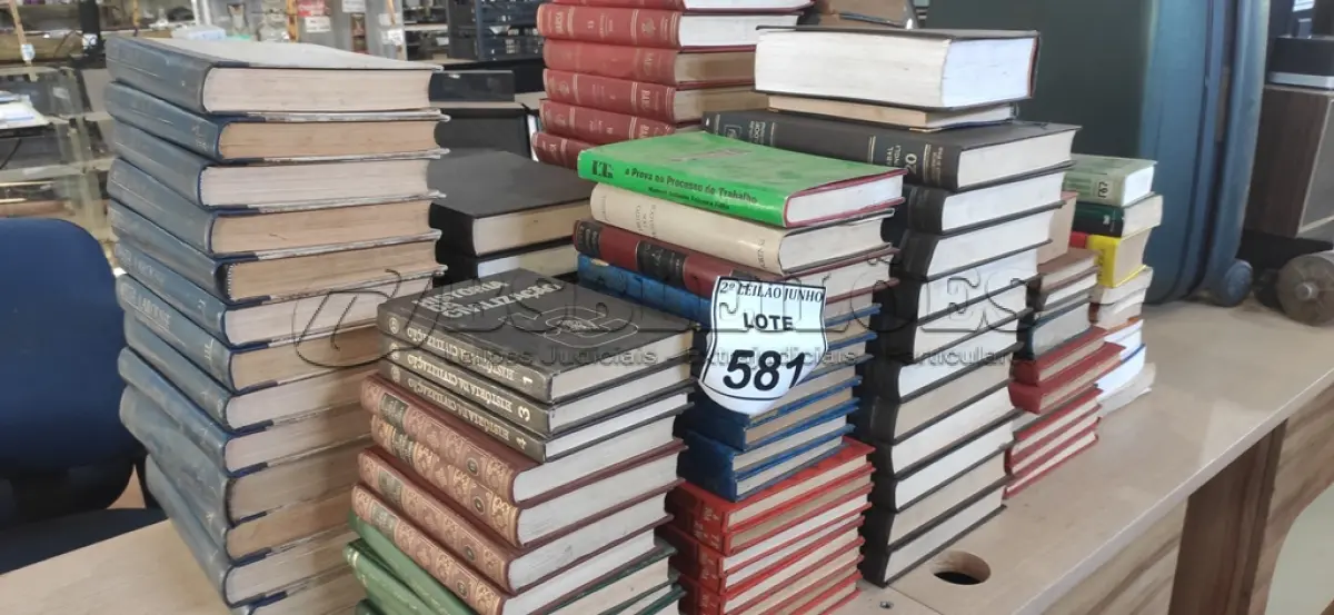 LOTE 581 - 01 LOTE COM GRANDE QUANTIDADE DE ENCICLOPÉDIAS, DICIONÁRIO E LIVROS DIDÁTICOS.  (NO ESTADO) ATENÇÃO! FAZER A VISITAÇÃO ANTES DE ARREMATAR, NÃO SABEMOS SE FUNCIONA, LEILÃO NÃO TEM GARANTIA E NEM DEVOLUÇÃO, SUJEITO A POSSÍVEIS AVARIAS VISÍVEIS/OCULTAS E/OU AUSÊNCIA DE COMPONENTES.