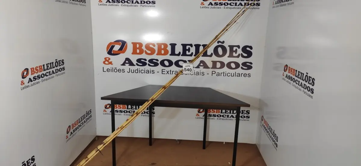 05 VARAS DE BAMBU. (NO ESTADO) ATENÇÃO! FAZER A VISITAÇÃO ANTES DE ARREMATAR, NÃO SABEMOS SE FUNCIONA, LEILÃO NÃO TEM GARANTIA E NEM DEVOLUÇÃO, SUJEITO A POSSÍVEIS AVARIAS VISÍVEIS/OCULTAS E/OU AUSÊNCIA DE COMPONENTES.