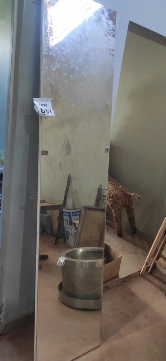 02 ESPELHOS DE GUARDA ROUPAS.  (NO ESTADO) ATENÇÃO! FAZER A VISITAÇÃO ANTES DE ARREMATAR, NÃO SABEMOS SE FUNCIONA, LEILÃO NÃO TEM GARANTIA E NEM DEVOLUÇÃO, SUJEITO A POSSÍVEIS AVARIAS VISÍVEIS/OCULTAS E/OU AUSÊNCIA DE COMPONENTES.