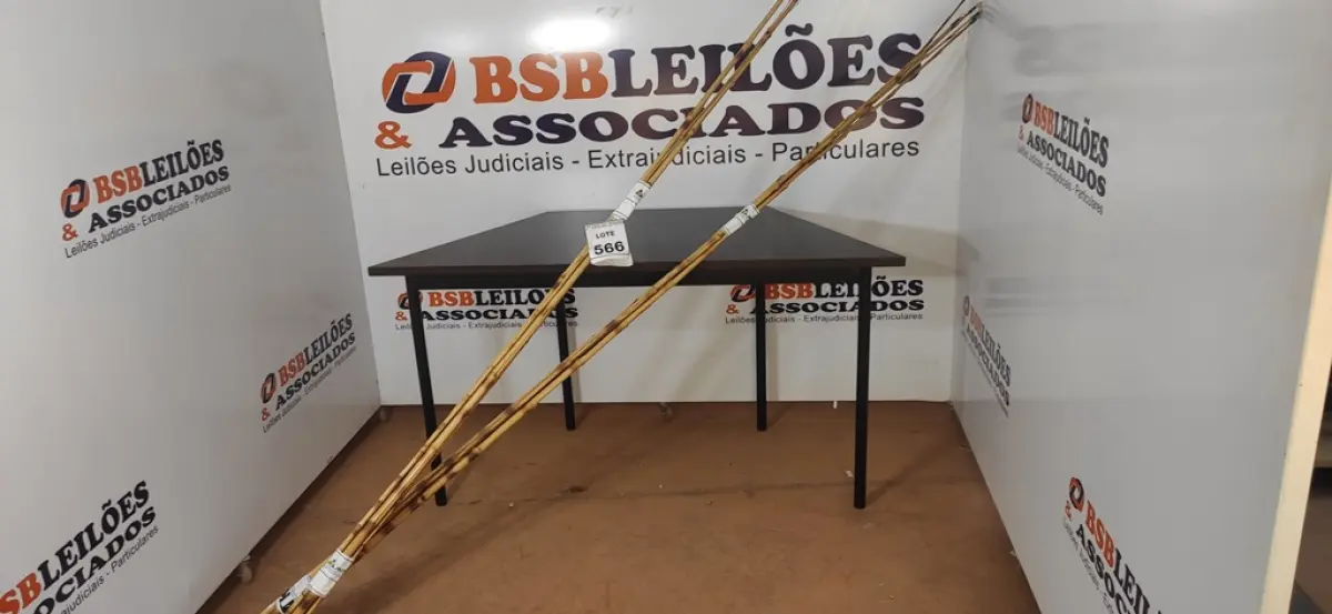 05 VARAS DE BAMBU. (NO ESTADO) ATENÇÃO! FAZER A VISITAÇÃO ANTES DE ARREMATAR, NÃO SABEMOS SE FUNCIONA, LEILÃO NÃO TEM GARANTIA E NEM DEVOLUÇÃO, SUJEITO A POSSÍVEIS AVARIAS VISÍVEIS/OCULTAS E/OU AUSÊNCIA DE COMPONENTES.