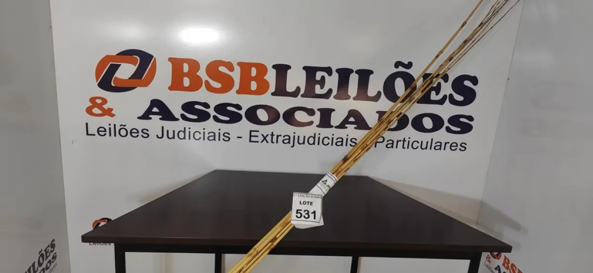 05 VARAS DE BAMBU. (NO ESTADO) ATENÇÃO! FAZER A VISITAÇÃO ANTES DE ARREMATAR, NÃO SABEMOS SE FUNCIONA, LEILÃO NÃO TEM GARANTIA E NEM DEVOLUÇÃO, SUJEITO A POSSÍVEIS AVARIAS VISÍVEIS/OCULTAS E/OU AUSÊNCIA DE COMPONENTES.