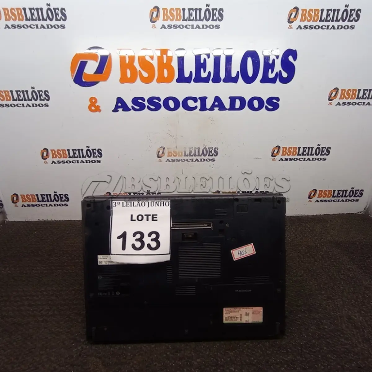 LOTE 133