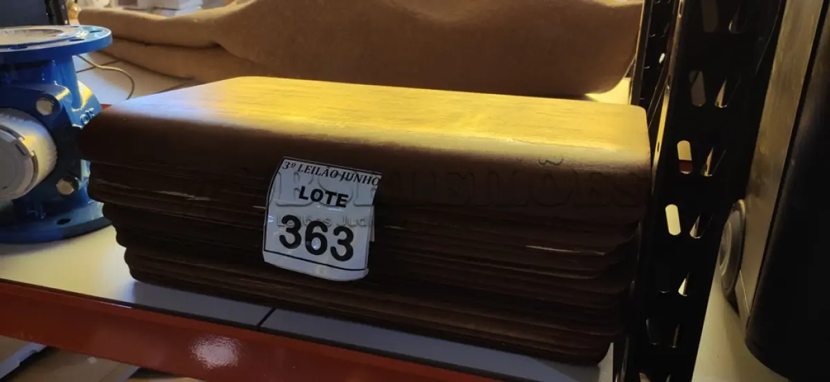 LOTE 363