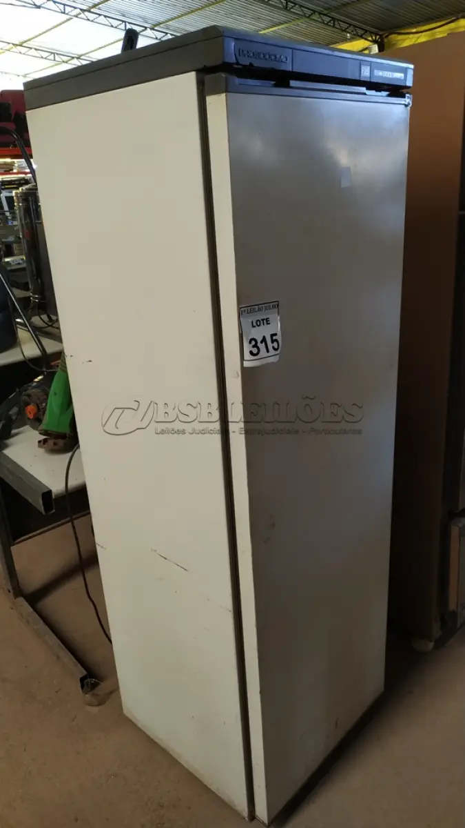 LOTE 315
