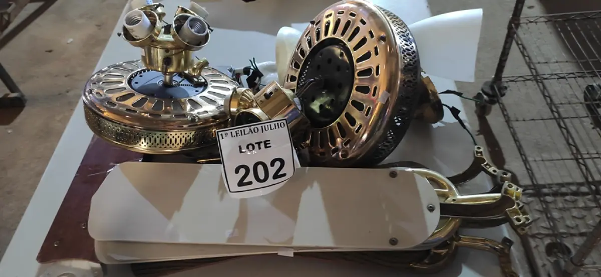 LOTE 202